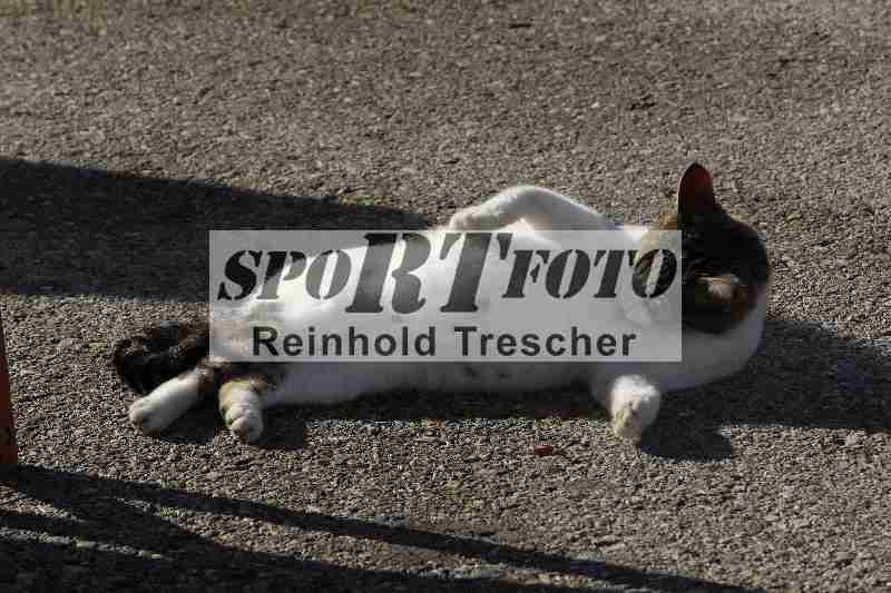 Archiv-2025/01 24.-27.01.2025 Moto Center Thun Jerez/24.01.2025 Impressionen